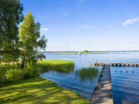 Žolių, sportinės velėnos, žolių, ganyklų žolių mišiniai. Lenkiškos žolės sėklos 07